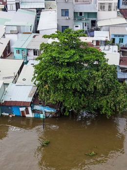 Chủ tịch UBND TP.HCM chỉ đạo ưu tiên vốn chống ngập, sạt lở ven sông Sài Gòn