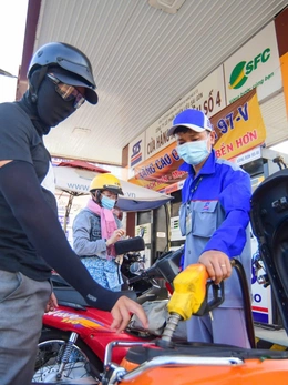 Concert cá nhân, giá cả thị trường ‘chiếm sóng’ tìm kiếm của người Việt