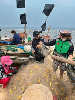 Biển cạn dần nguồn lợi, khởi động ‘hành lang xanh’ nối các khu bảo tồn