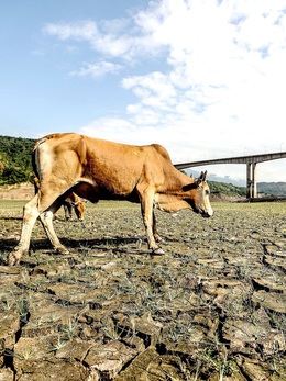 El Nino sắp xuất hiện, tác động đến mưa, nguồn nước ở Việt Nam thế nào?
