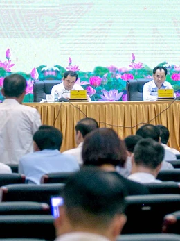 Thịt heo bệnh vào chợ, trường học: Thứ trưởng yêu cầu trình bày trách nhiệm thuộc về ai?