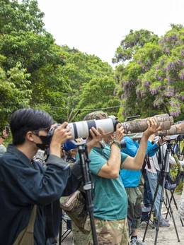 Chi hàng trăm triệu đổi lấy khoảnh khắc chụp được loài voọc quý trên bán đảo Sơn Trà