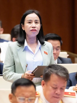 Đề xuất tăng thuế với xe điện từ 2031: Đại biểu lo thị trường đóng băng khi giá tăng mạnh