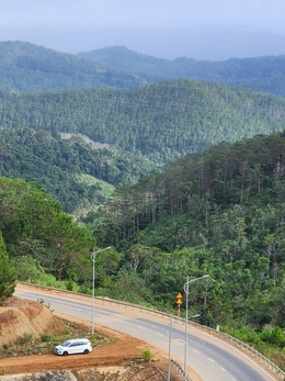 Quảng Ngãi chuyển mục đích gần 83ha đất rừng để làm khu đô thị ở Măng Đen