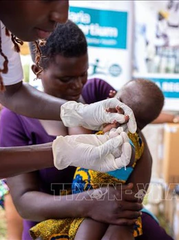 WHO phê duyệt thuốc trị sốt rét cho trẻ sơ sinh và trẻ nhỏ