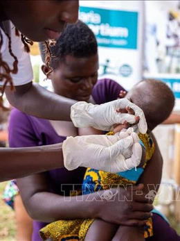 WHO phê duyệt thuốc trị sốt rét cho trẻ sơ sinh và trẻ nhỏ