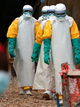 Họp khẩn phòng chống bệnh Ebola: Nguy cơ xâm nhập thấp nhưng phải cảnh giác cao