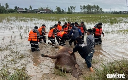 Vietnam’s economic hubs tasked with direct flood relief in south-central provinces
