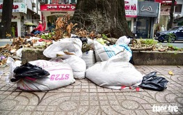 Ho Chi Minh City Pasteur Institute to add waste collection, surveillance cameras to protect surrounding pavements