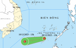 Low pressure area brings strong winds to East Vietnam Sea, with heavy rain expected in southern region