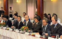 Japanese businesses urge Ho Chi Minh City to further improve immigration processing at city airport