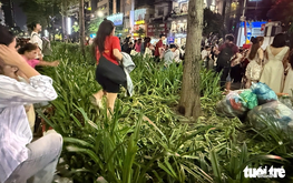 Plant beds trampled, trash left behind after National Day parade rehearsal in Hanoi