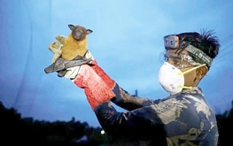 Vietnam reports no Nipah virus cases, heightens surveillance after India outbreak