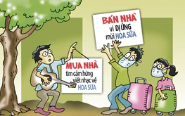 Mua nhà vì hoa sữa, bán nhà cũng tại hoa sữa