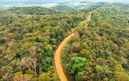 Vietnam's Quang Ngai eyes carbon credit revenue from 826,000 hectares of forest