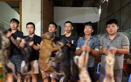 Ho Chi Minh City police crack down on pet theft rings, charge 33 suspects