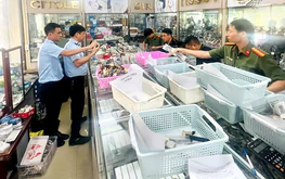 Vietnam shop owner charged over 2,000 fake luxury watches