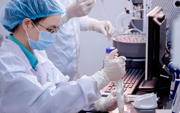 Vietnam develops next-generation Japanese encephalitis vaccine