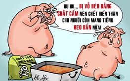 Ai đã ăn phải 10.000 tấn heo sử dụng chất cấm?