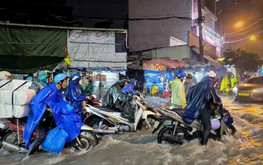 Ho Chi Minh City has nearly $45.5 million natural disaster prevention fund ready for emergencies