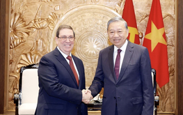 Vietnamese top leaders receive special envoy of Cuban Party and State