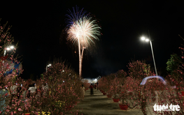 Fireworks light up Vinhomes Green Paradise Can Gio in Ho Chi Minh City to open spring fest
