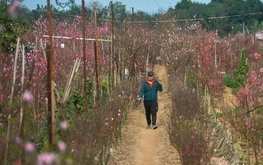 Breakfast @ Tuoi Tre News — February 9