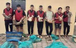 Ho Chi Minh City police bust armed cat-theft ring, recover stolen pets