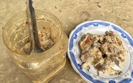 WHO rushes botulism antitoxin to Vietnam for 3 poisoned children