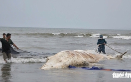 Breakfast @ Tuoi Tre News - March 21