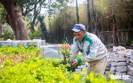 Ho Chi Minh City looks to expand temporary parks on vacant land after Tet pilot