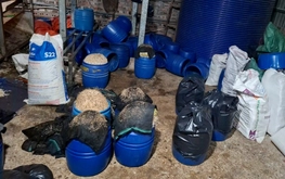 Woman indicted for making 510 tonnes of bean sprouts with banned chemical in northern Vietnam