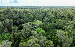 Vietnam’s Ca Mau uses thermal drones, smart cameras to prevent forest fires