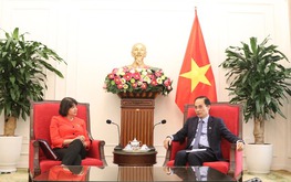 UK launches green finance mechanism to help Vietnam attract clean energy investment
