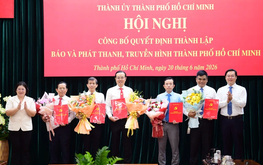 Ho Chi Minh City launches new media agency after restructuring local press system