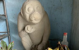 Vietnam man rewarded nearly $3,600 for handing over 11th-century Hanuman statue