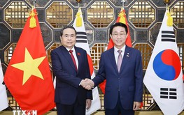 Vietnam seeks South Korean investment in semiconductors, AI data centers