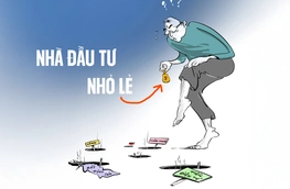 Chân dung nhà đầu tư nhỏ lẻ: Mong manh dễ vỡ