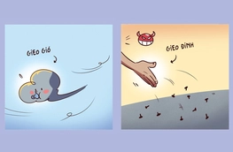 Đinh tặc hãy nhớ câu 'gieo gió ắt gặt bão'