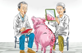 Triết lý mới của ngành kiểm dịch thú y: Hai mặt của một vấn đề
