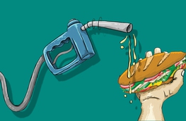 Nhai bánh mì ngắm biểu đồ giá xăng