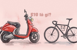 Những kẻ thờ ơ với xăng E10