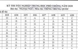 Đáp án môn tiếng Trung kỳ thi tốt nghiệp THPT 2020