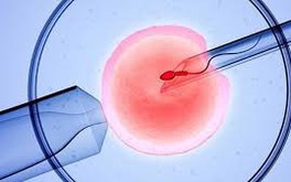 Em bé đầu tiên trên thế giới chào đời nhờ IVF tự động điều khiển từ xa