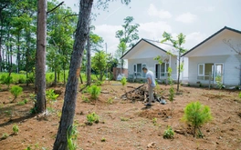 Yêu cầu xử nghiêm vụ xây dựng nhiều nhà tiền chế trên đất nông nghiệp