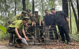 Mang chim đến quán cà phê không có giấy tờ sẽ bị phạt