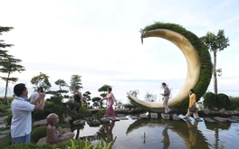 Cuộc thi clip ‘50 năm - Tỏa sáng miền Nam’: Điện lực Tây Ninh cùng phát triển du lịch