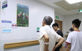 'Thắp' nụ cười cho người bệnh ung thư tại TP.HCM qua tranh ảnh