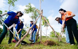 Kiều bào từ TP.HCM trồng cây, nhớ ơn Bác Hồ