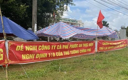 Thanh tra quá trình cổ phần hóa tại công ty cà phê bị dân kiện nhiều năm